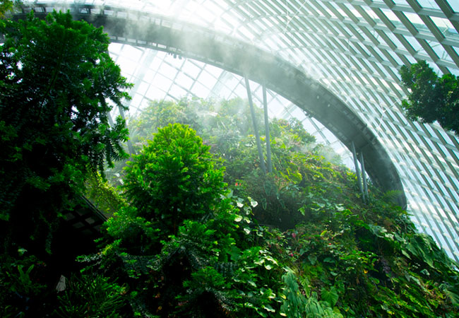 Singapore Singapore