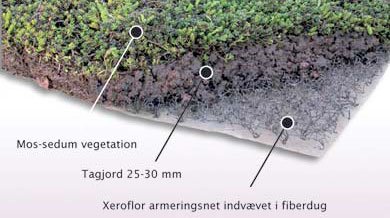 Sammensægning af planteplader med mos-sedum.