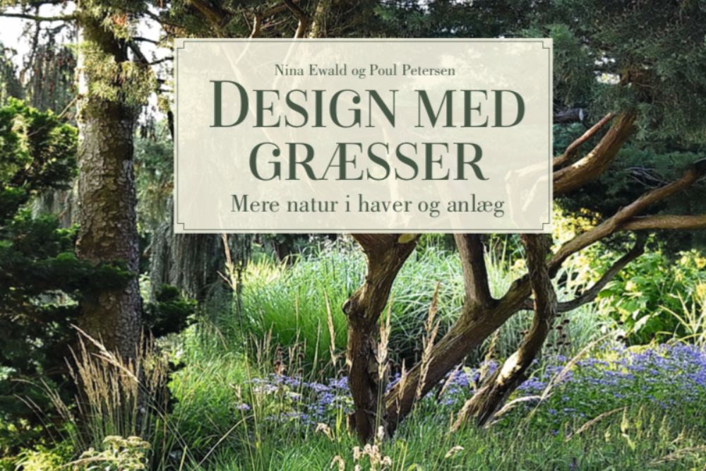 Design med græsser