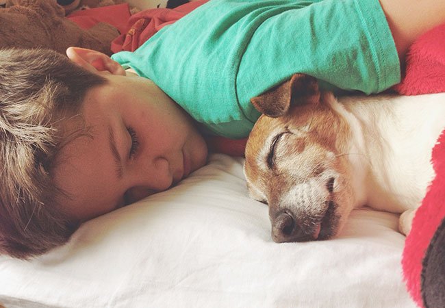 Dreng og hund ligger på en seng