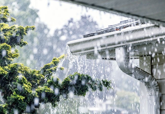 Regnvannet fra taket kan være forurenset og da kan det ikke brukes i kjøkkenhagen.