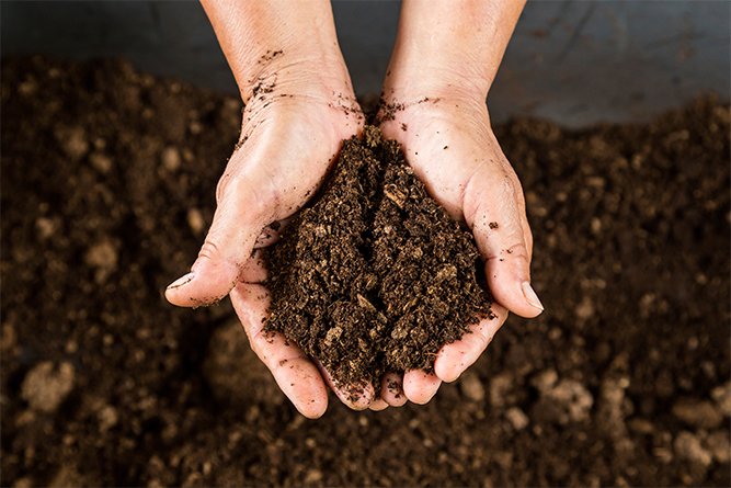 Torvfri jord er laget av kompost eller av naturen selv over mange år, og vil produsere næring på egen hånd,