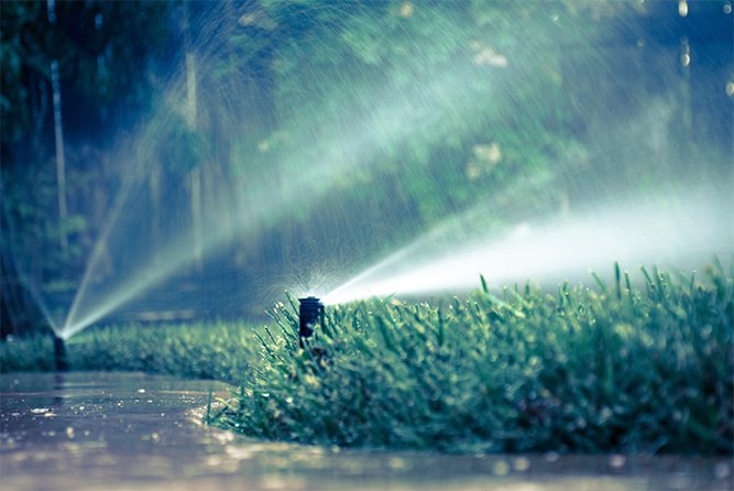 Ofte er det hyggelig å vanne vekstene i hagen, men hvis du en dag ikke orker, har tid eller ikke er hjemme, kan en automatisk vanner redde deg