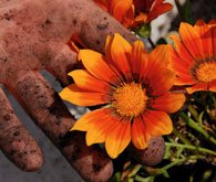 Foto: iStockphoto