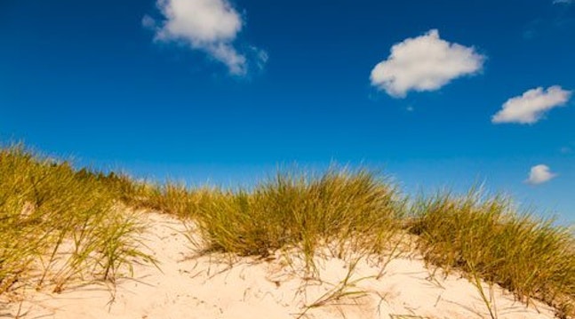 hav-sommarbild-dragare
