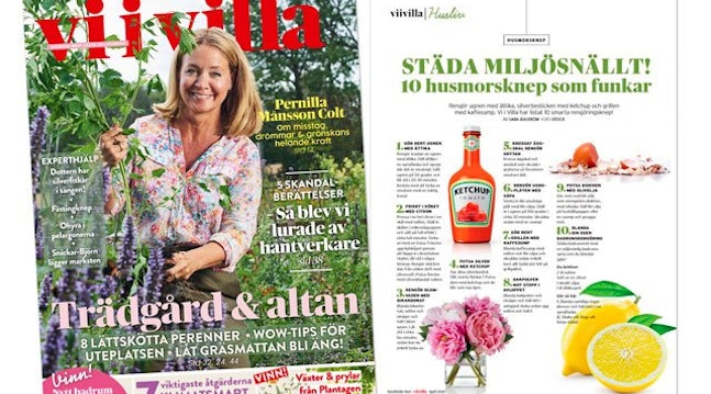viivilla2003dragare