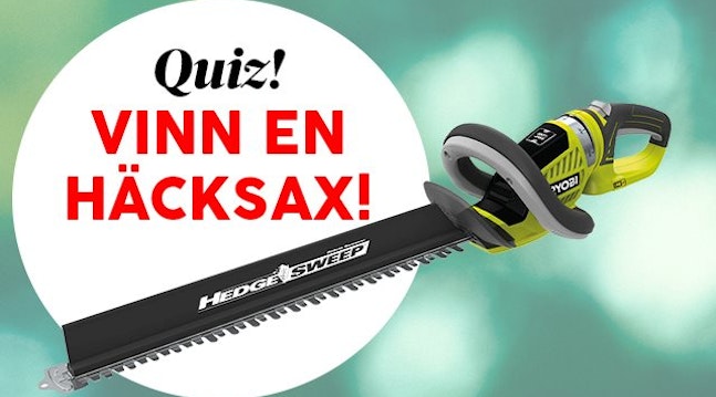 quiz-miljonlotteriet4