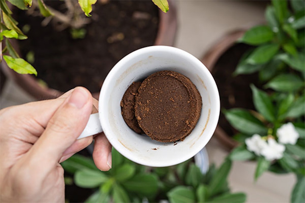 kaffesump i trädgården