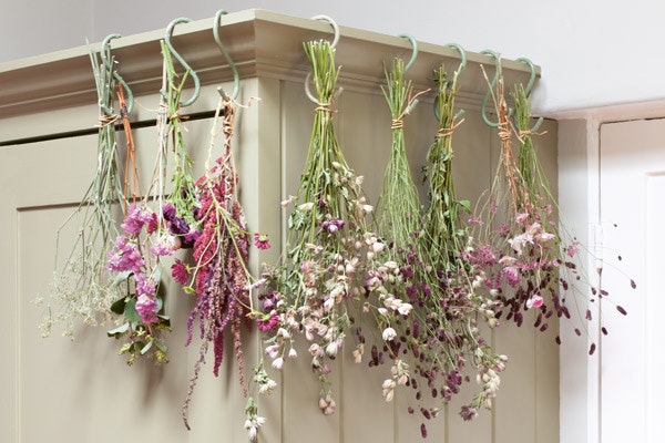 torka blommor