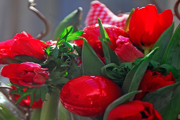 Tulipaner kombinerer det tradisjonsrike med det elegante.