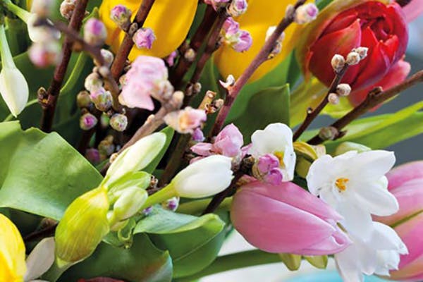 Tulipaner kan gjerne få selskap av andre snittblomster.