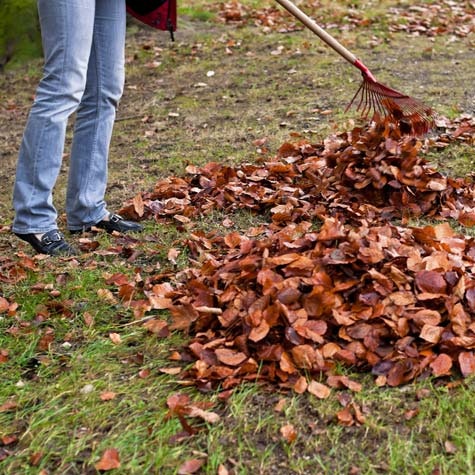 Stell plenen før vinteren kommer.