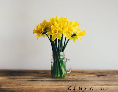 Påskeliljer i vase og vann