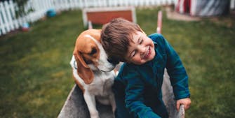 10 små hunderaser som er perfekte for barnefamilier