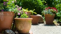 Krukker og potter i hagen er en god måte å oppbevare blomstene dine på