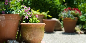 Krukker og potter i hagen er en god måte å oppbevare blomstene dine på