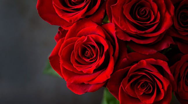 rød rosebukett til valentinsdagen