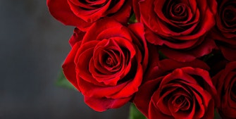 rød rosebukett til valentinsdagen