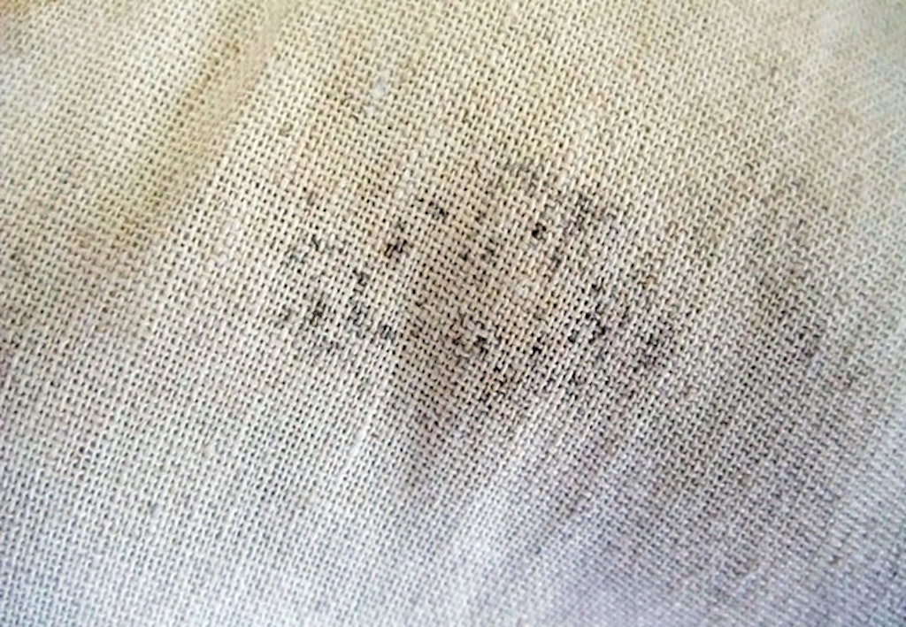 muggsopp i tekstiler