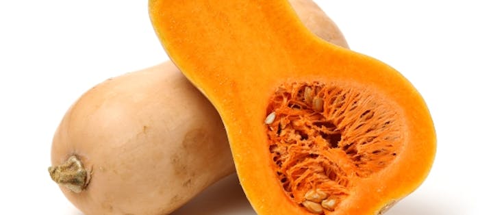 butternut gresskar