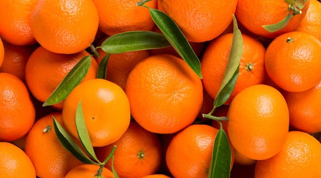 klementin mandarin