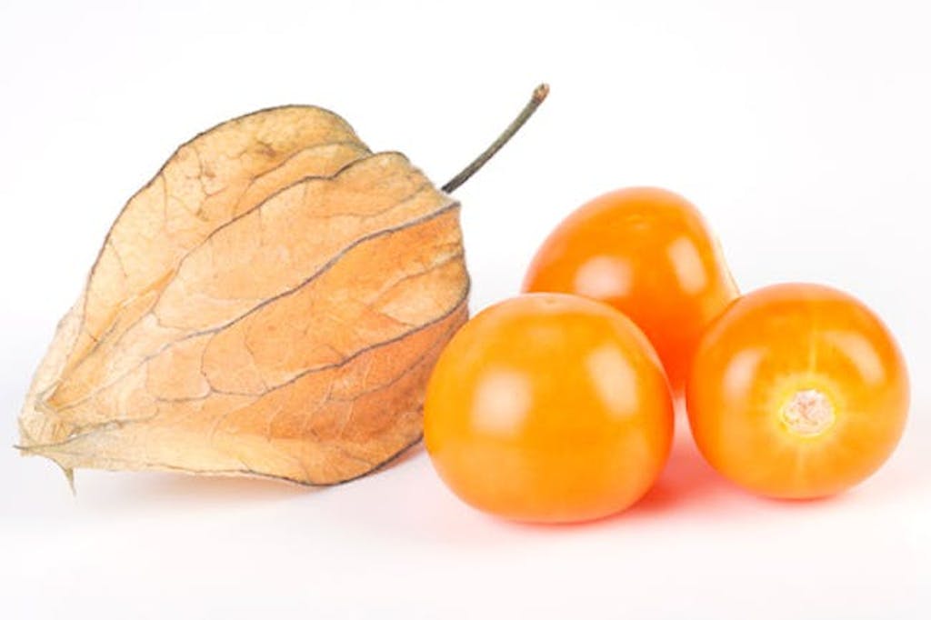 physalis bær
