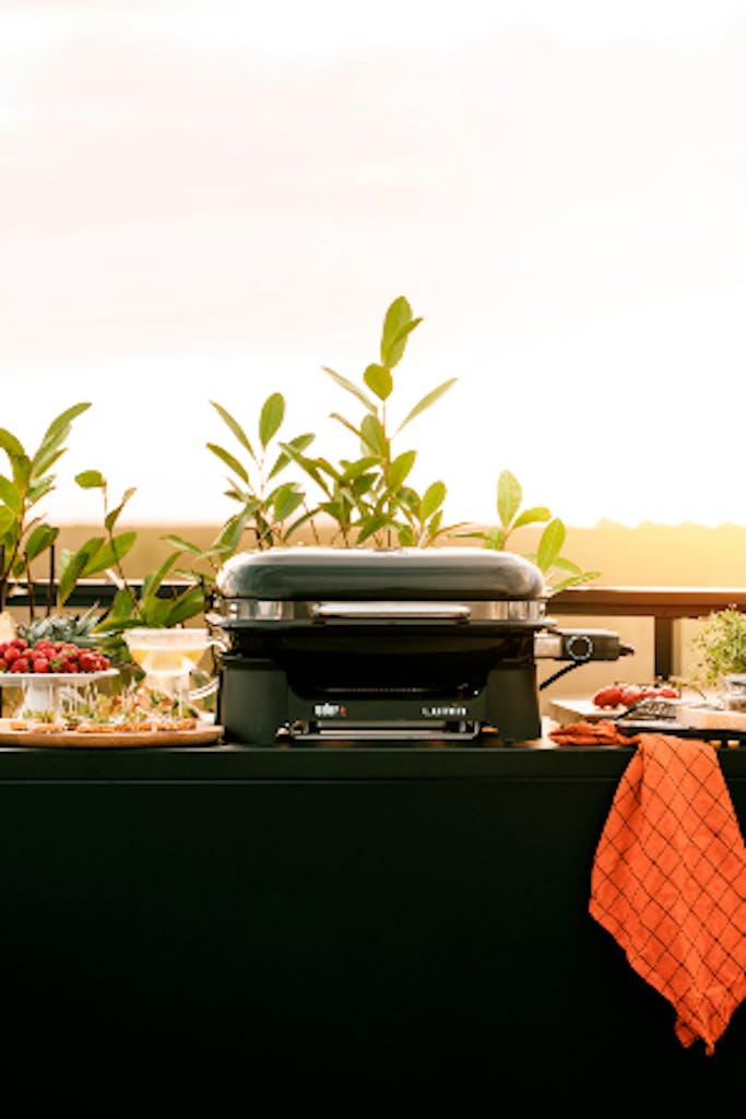 elektrisk grill