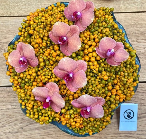Blomsteropsats med små gule blomster og lyserøde orkideer