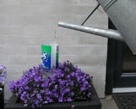 Vandingsautomat hjælper de blomster i krukkerne, når du tager på ferie