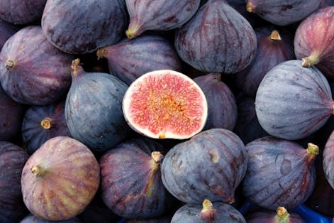 miles Seneste nyt Envision Figentræ | Få succes med figentræ i haven og høst søde figner