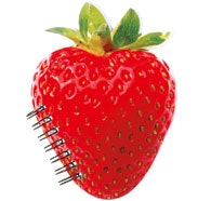 notesbog med spiralryg har facon som et jordbær