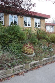 Vinduerne skal gøre parcelhuset hyggeligt, men virker ikke efter hensigten