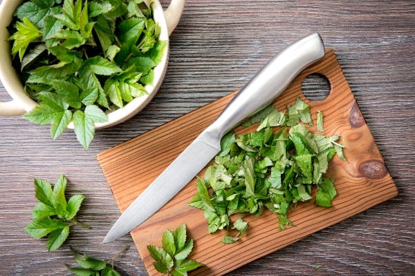 Skvalderkål opskrifter pesto