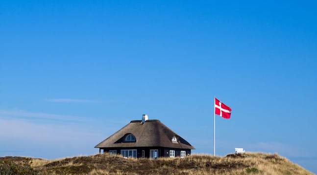 Det danske flag vajer i en flagstang