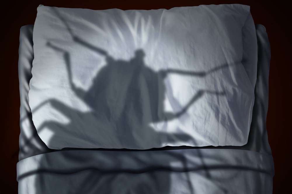 Det virkelige monster er ikke under din seng, men den - idenyt