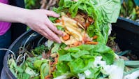 Stor kompost-guide: Alt du skal vide om genbrug af have- og madaffald i haven