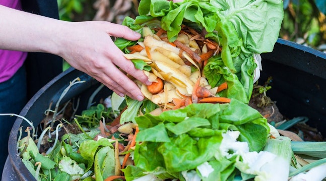 Stor kompost-guide: Alt du skal vide om genbrug af have- og madaffald i haven