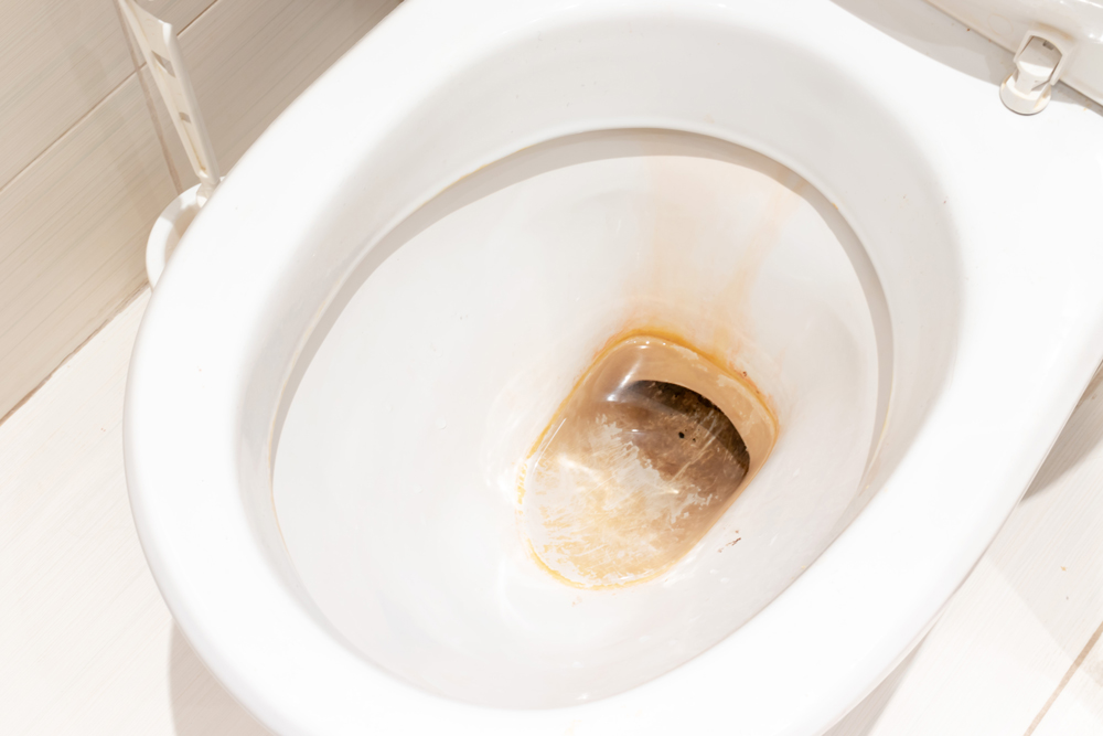 Normalisering realistisk Knogle Genial dansk opfindelse sikrer rene toiletkummer - idenyt