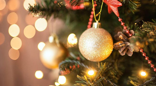 Vil du gøre julen grønnere og mere bæredygtig, giver Kamilla Høy fire gode råd til genbrug af juletræet