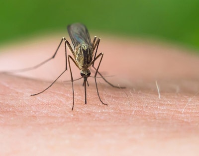 Myggestik kan undgås med en række mere eller mindre enkle forholdsregler.   