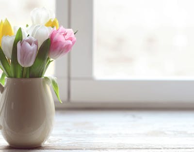 En buket tulipaner ser ikke bare smukke ud, som de står der i en vase på bordet eller i vindueskarmen - med deres flotte farver giver de også et afbræk fra vinterens mørke.