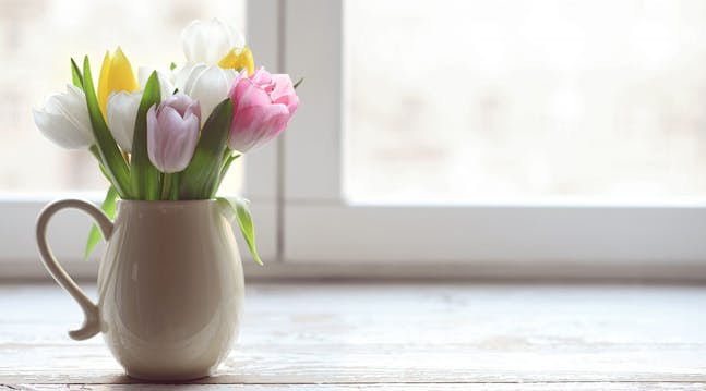 En buket tulipaner ser ikke bare smukke ud, som de står der i en vase på bordet eller i vindueskarmen - med deres flotte farver giver de også et afbræk fra vinterens mørke.