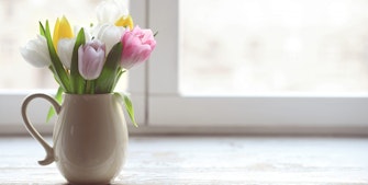 Få dine tulipaner i vase til at holde længere