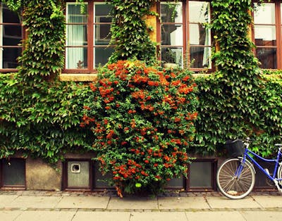 Et pænt hus med en cykel foran.