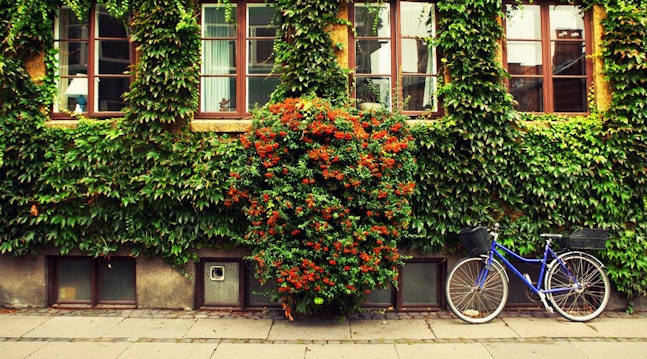 Et pænt hus med en cykel foran.