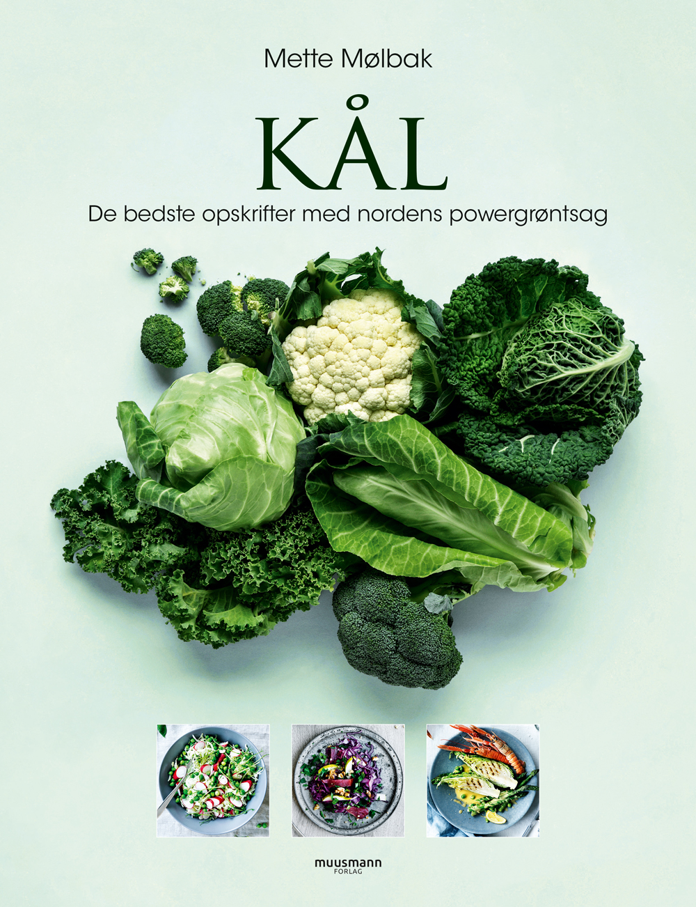 Der er spændende opskrifter i kogebogen Kål – de bedste opskrifter med nordens powergrøntsag. 