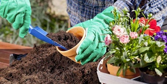 6 tips til en have, der er nem at holde