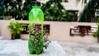 plasticflaske genbrugt som potte