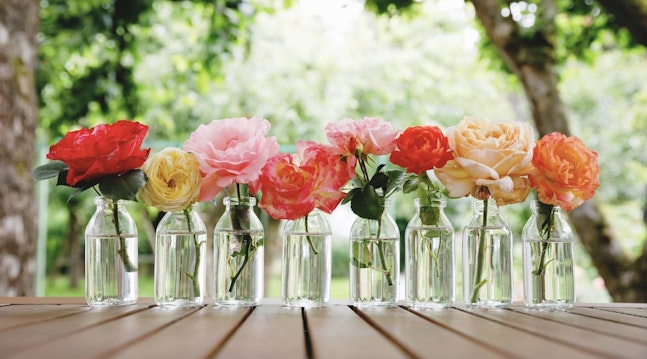 Udsprungne roser i vaser