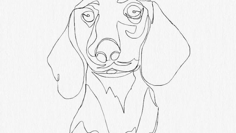 hunde tegninger